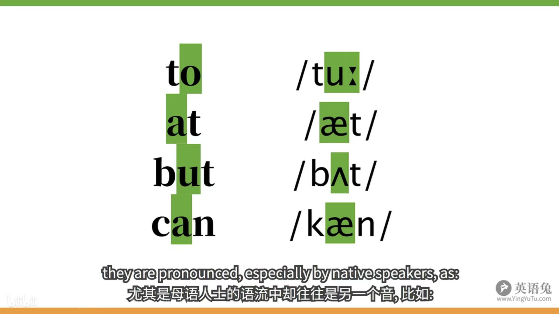 lye36t10.png